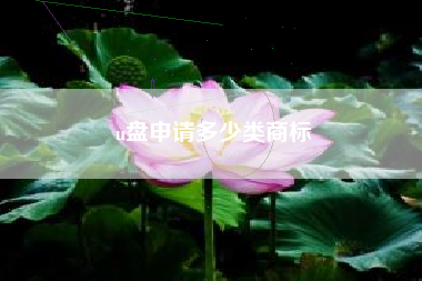 u盘申请多少类商标