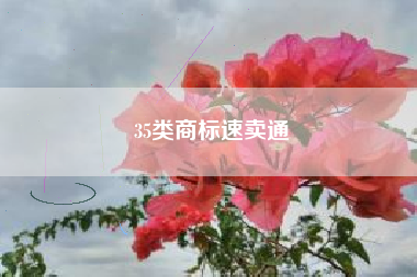 35类商标速卖通