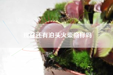 现在还有泊头火柴商标吗