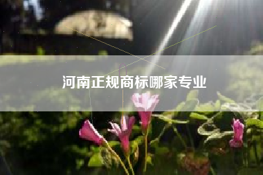 河南正规商标哪家专业