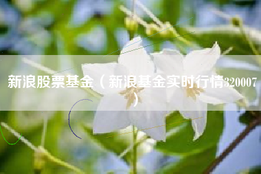 新浪股票基金（新浪基金实时行情320007）