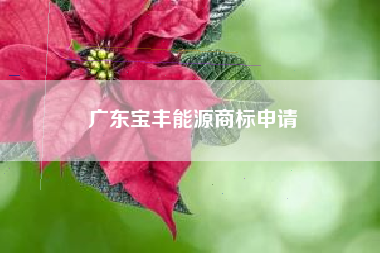 广东宝丰能源商标申请