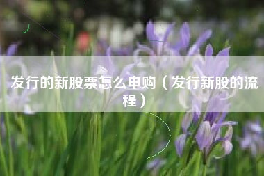 发行的新股票怎么申购（发行新股的流程）
