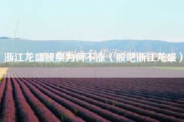 浙江龙盛股票为何不涨（股吧浙江龙盛）