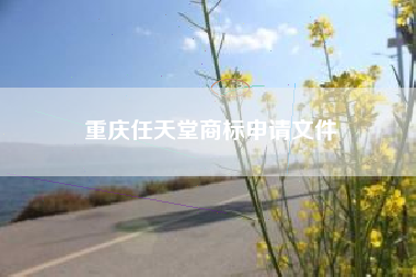 重庆任天堂商标申请文件