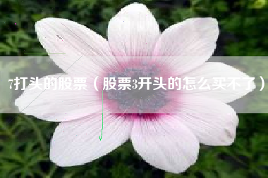 7打头的股票（股票3开头的怎么买不了）