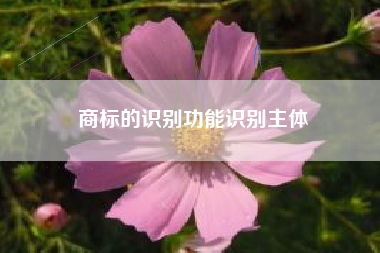 商标的识别功能识别主体