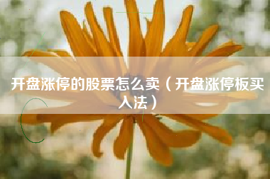 开盘涨停的股票怎么卖（开盘涨停板买入法）