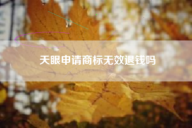 天眼申请商标无效退钱吗
