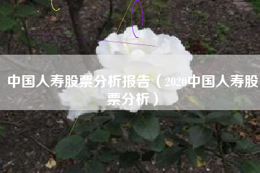 中国人寿股票分析报告（2020中国人寿股票分析）