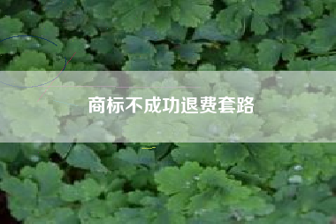 商标不成功退费套路
