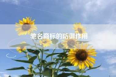 驰名商标的防御作用