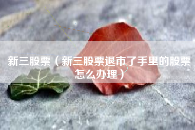 新三股票（新三股票退市了手里的股票怎么办理）