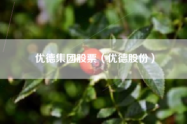 优德集团股票（优德股份）