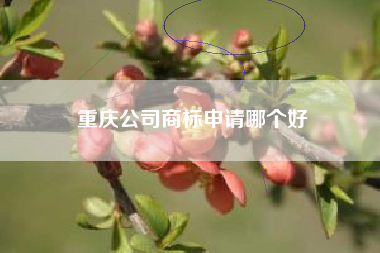 重庆公司商标申请哪个好