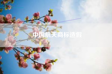 中国航天商标造假