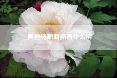 阿迪达斯商标有什么用