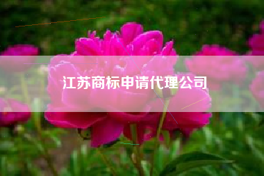 江苏商标申请代理公司