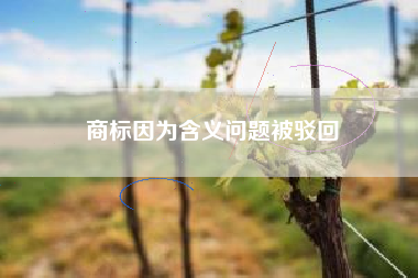 商标因为含义问题被驳回