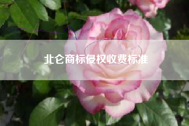 北仑商标侵权收费标准