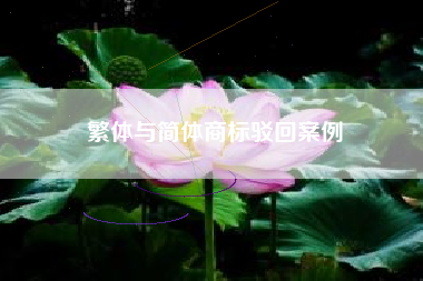 繁体与简体商标驳回案例