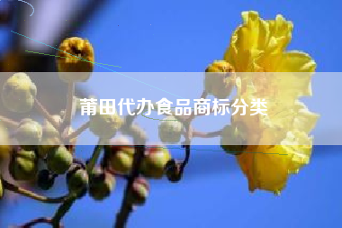莆田代办食品商标分类