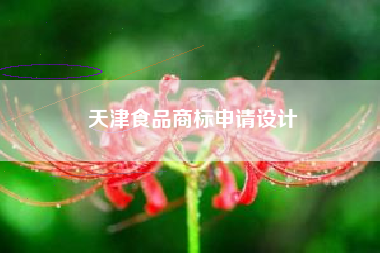 天津食品商标申请设计