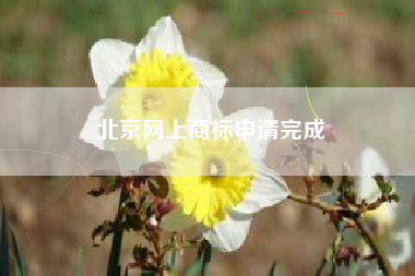 北京网上商标申请完成