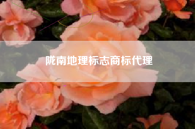 陇南地理标志商标代理