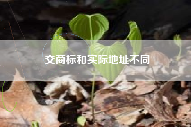 交商标和实际地址不同