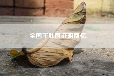 全国羊肚菌证明商标