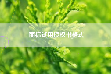 商标试用授权书格式