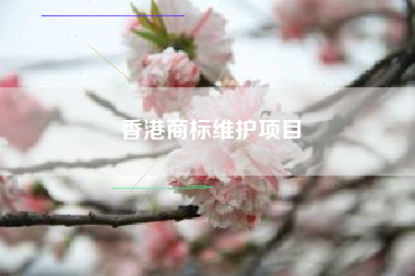香港商标维护项目