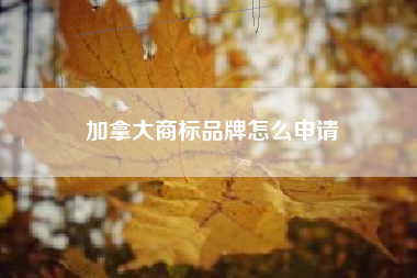 加拿大商标品牌怎么申请