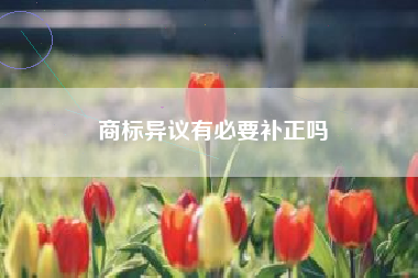商标异议有必要补正吗