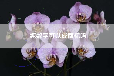 纯数字可以成商标吗