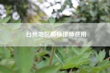 台州地区商标律师费用
