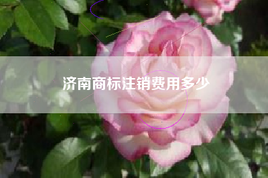 济南商标注销费用多少