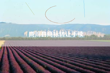 陇川县商标转让手续