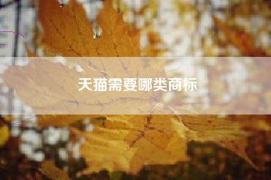 天猫需要哪类商标
