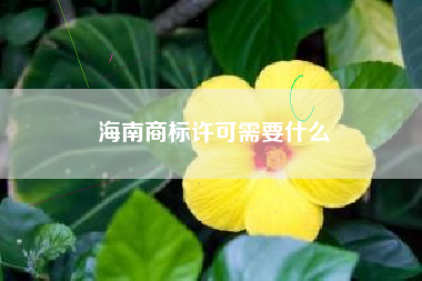 海南商标许可需要什么