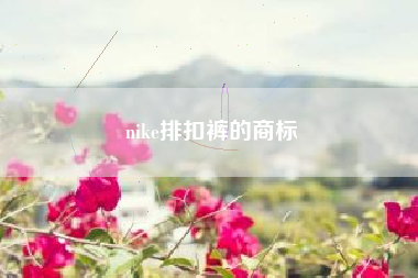nike排扣裤的商标