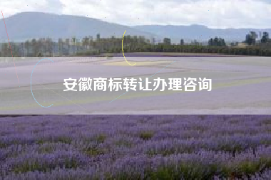 安徽商标转让办理咨询