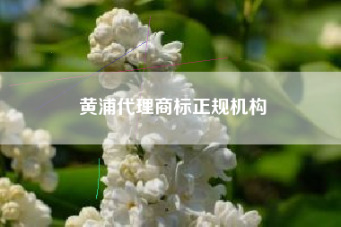 黄浦代理商标正规机构