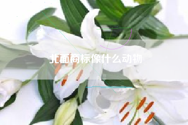 北面商标像什么动物