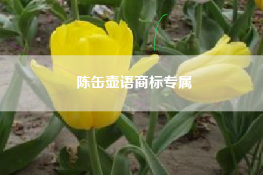 陈缶壶语商标专属