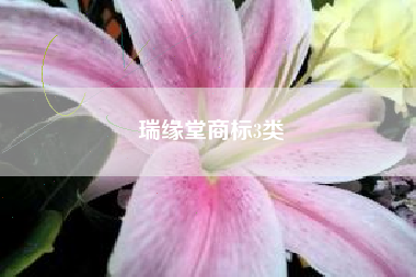 瑞缘堂商标3类