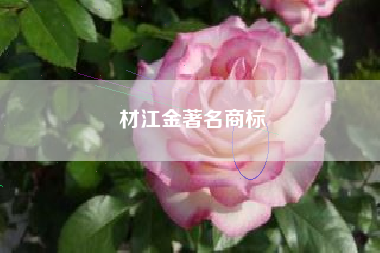 材江金著名商标