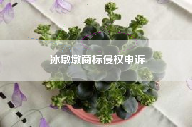冰墩墩商标侵权申诉