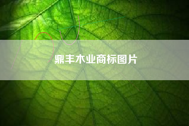 鼎丰木业商标图片